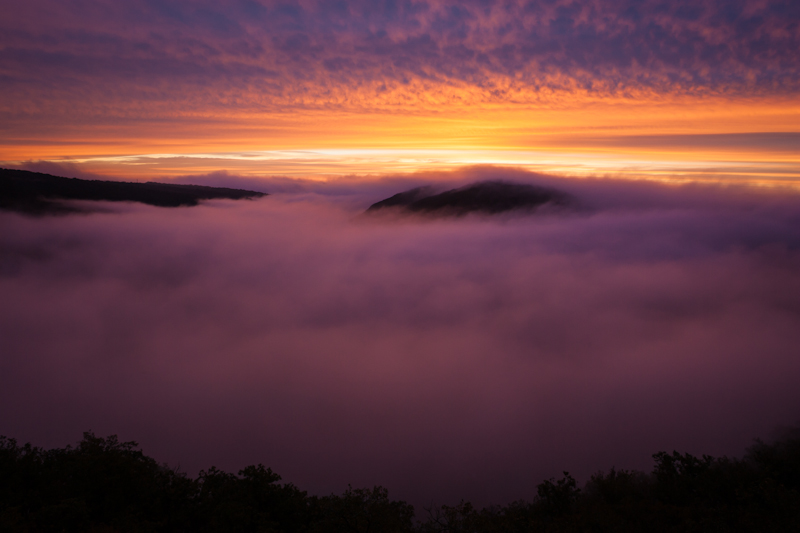 GR2D9051_Image&Nature.jpg