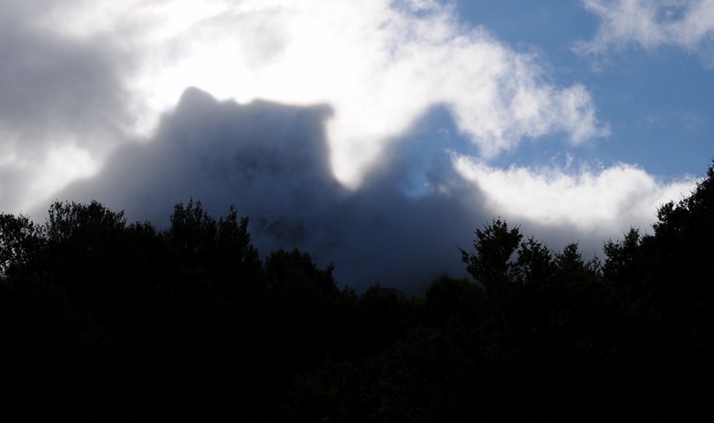 DSC_5650.JPG
