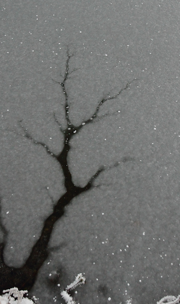 Ice-1.jpg
