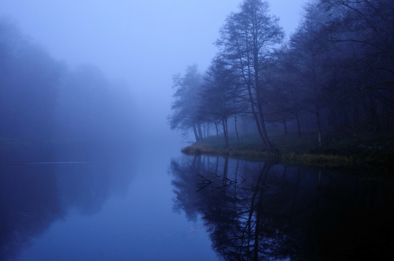 Brume matinale.jpg