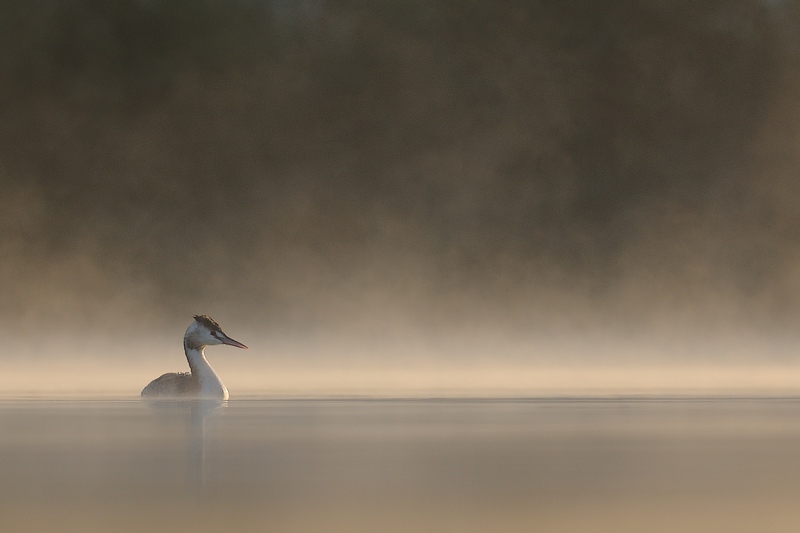 D'eau et de brume.jpg