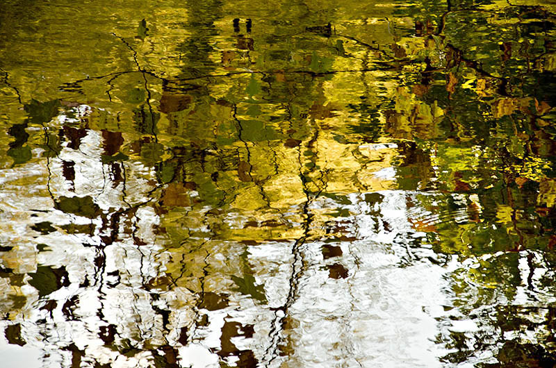 reflets d'or i et n_modifié-2.jpg