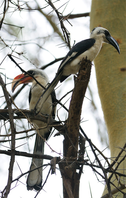 DSC_2672.jpg