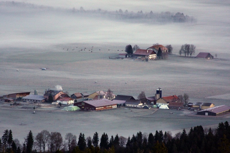 Brume et brouillard.JPG