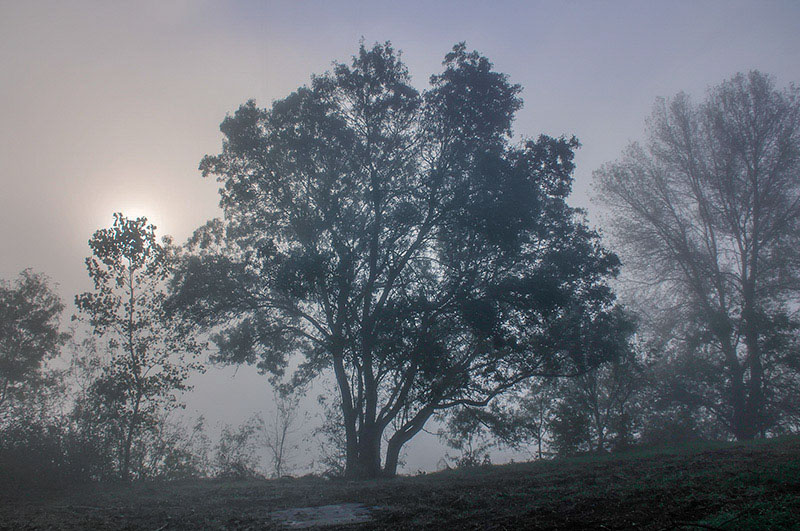 20131030_SC_256b.jpg