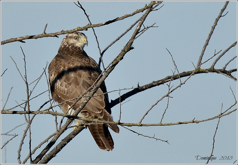DSC_7841.JPG