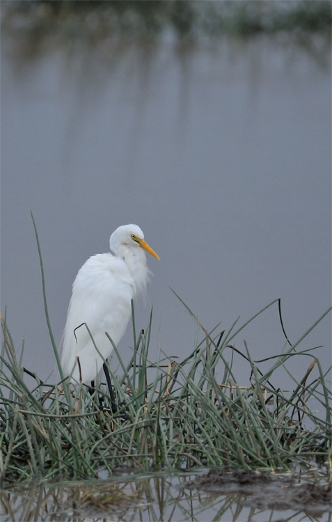 DSC_2779.jpg