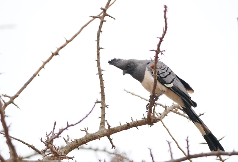 DSC_2877.jpg