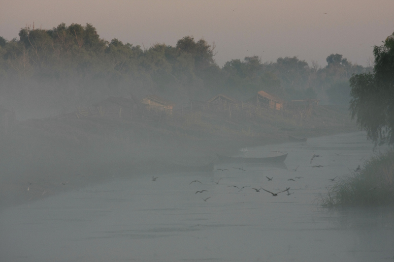 danube 3.jpg
