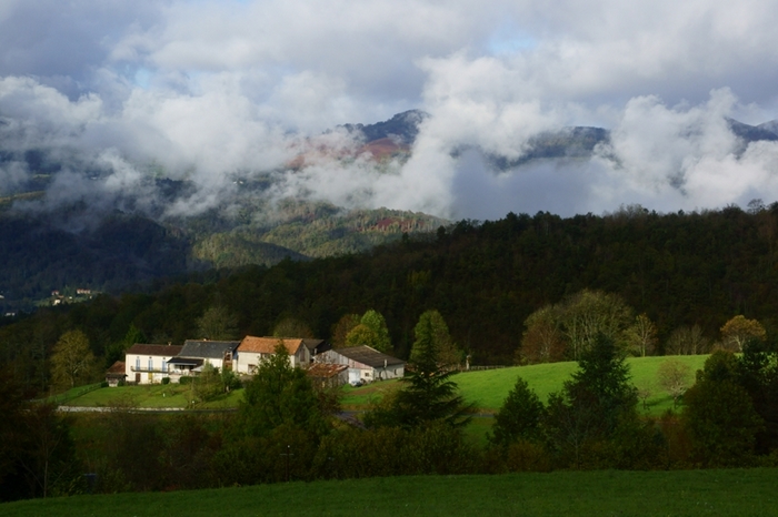 DSC03964.jpg