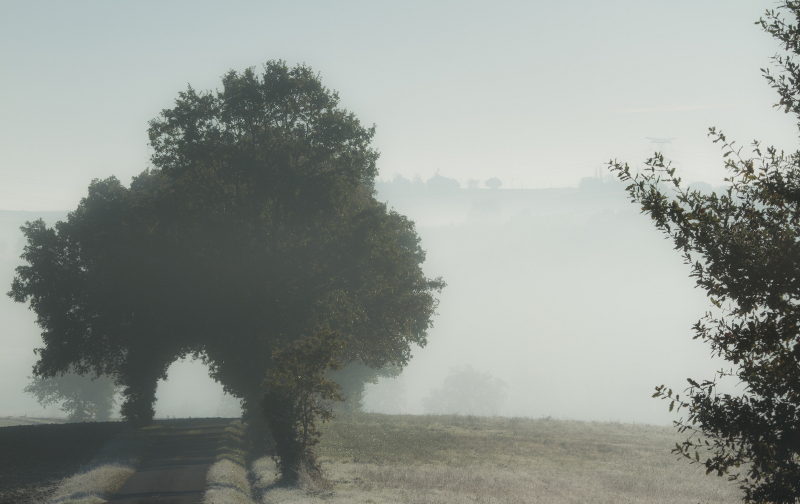 brouillard_1.jpg