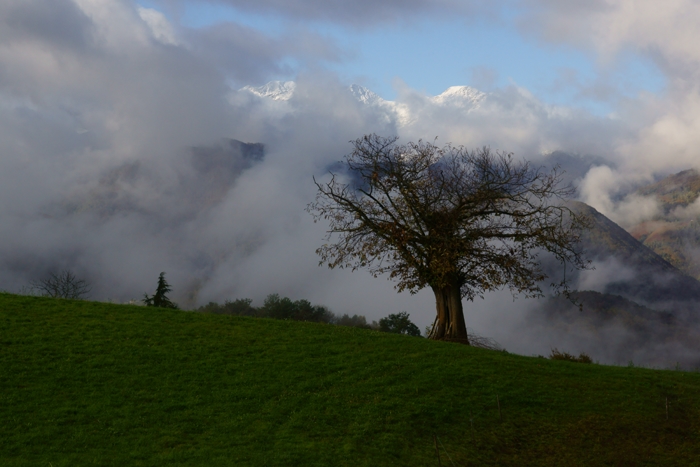 DSC03953(1).jpg