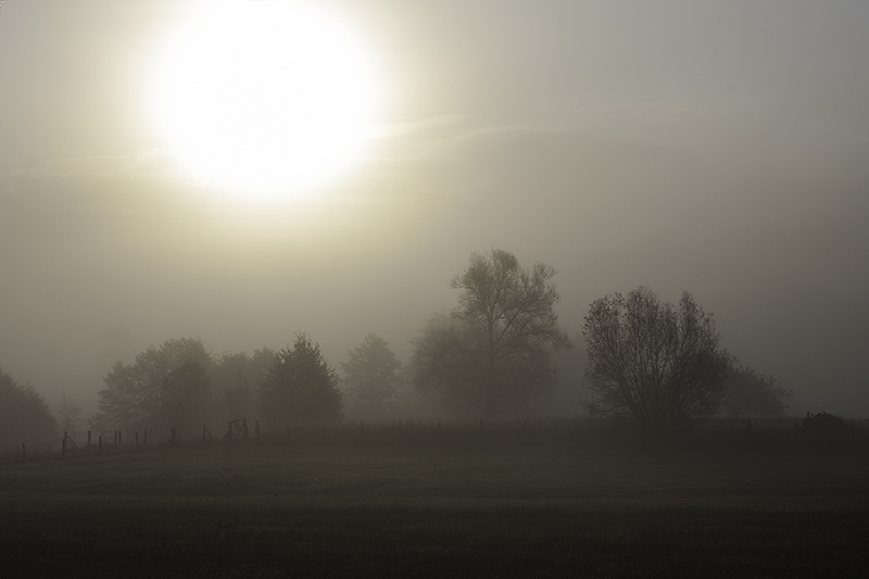 brume3.jpg