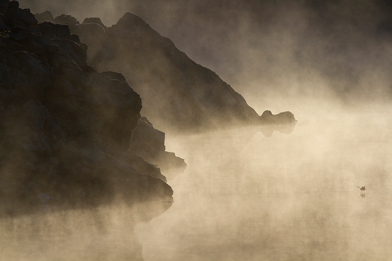 266_1-001.JPG