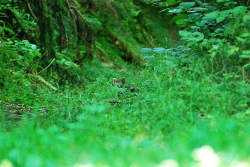 DSC_0749.JPG