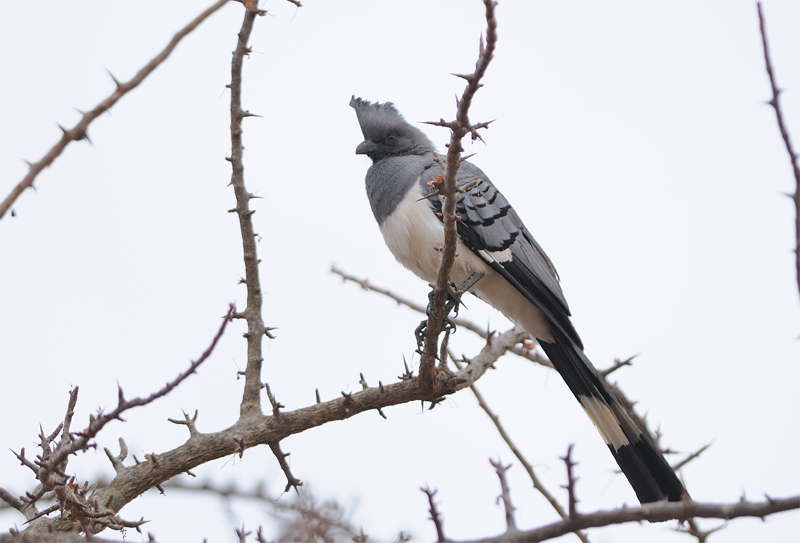 DSC_2881.jpg