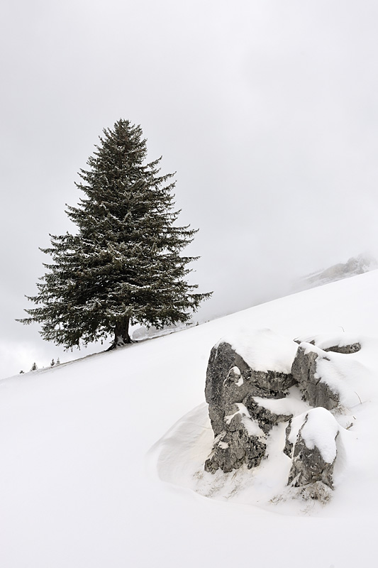 Ambiance hivernale.jpg