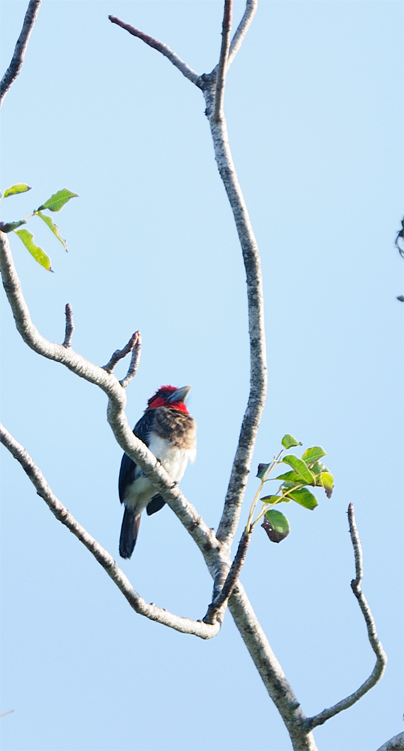 DSC_3114.jpg