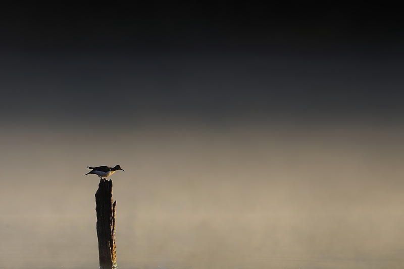 minimaliste-8.jpg
