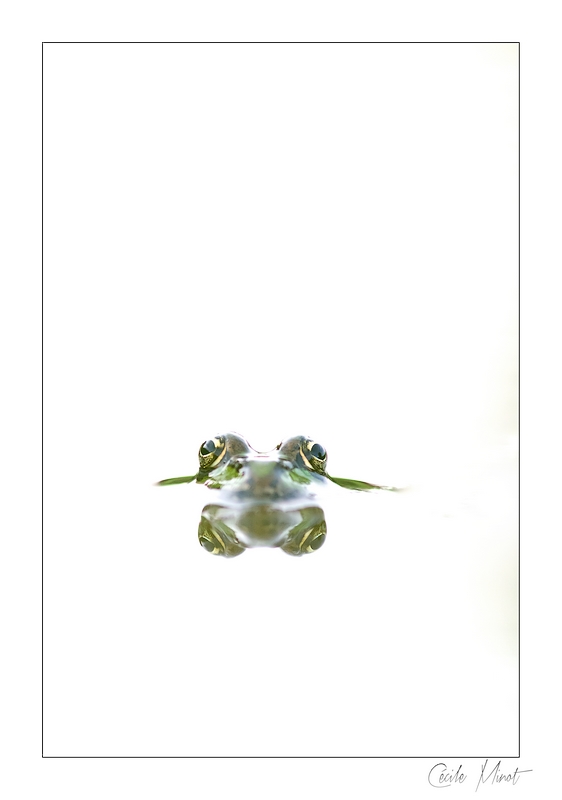 061web.jpg