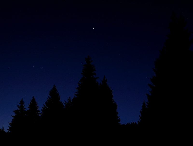 ombre nocturne.jpg