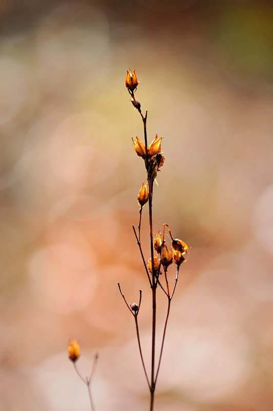 MuVek_13830DSC_6019N1.jpg