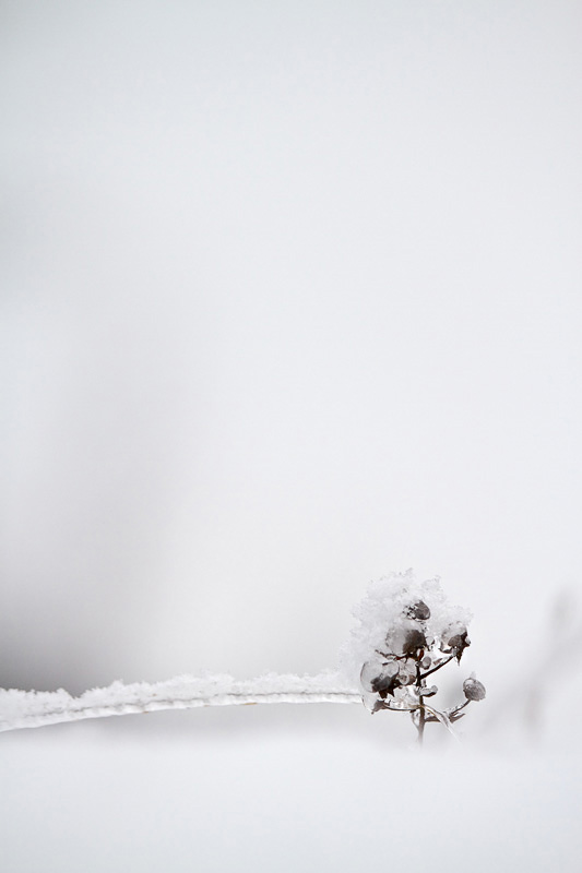 IMG_5842-01-2012.jpg