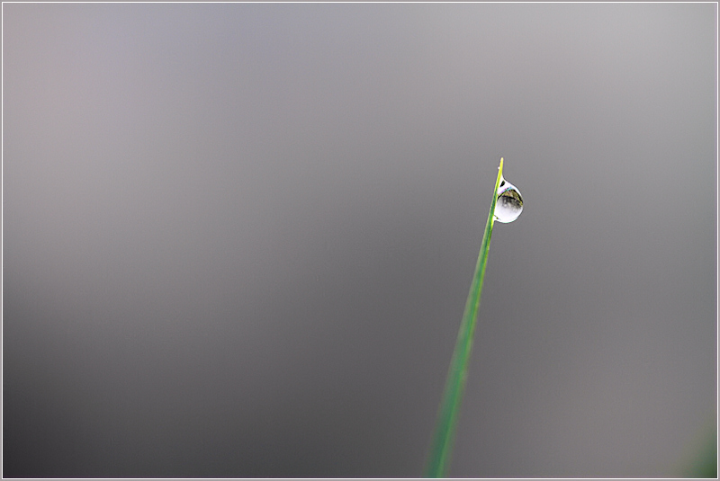 Minimaliste 2cp2.jpg