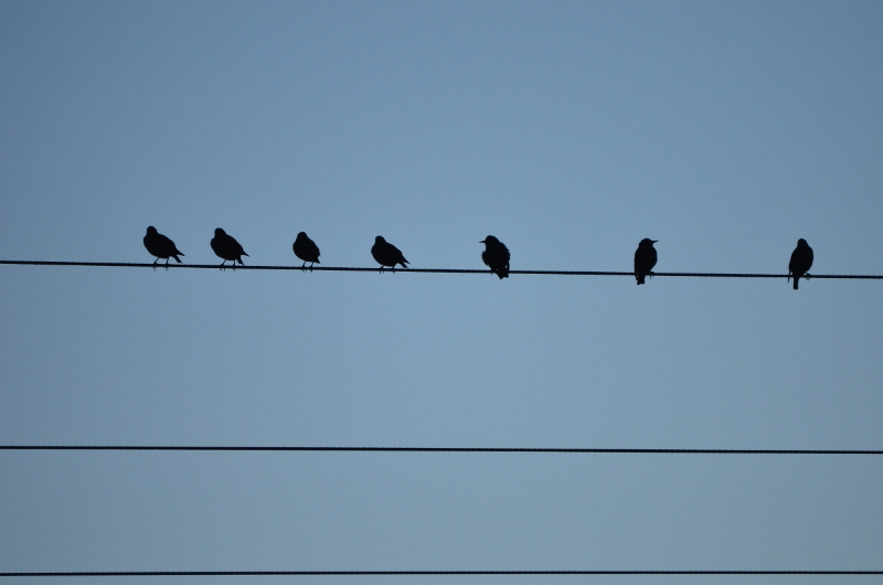 minimalisme.JPG