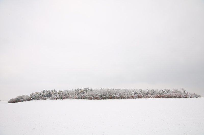 DSC_7845-copie.jpg