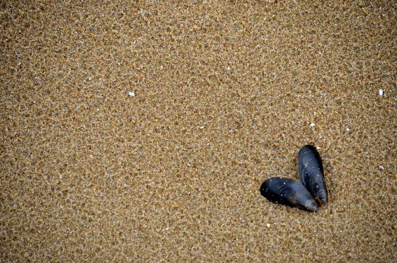 moule3.JPG