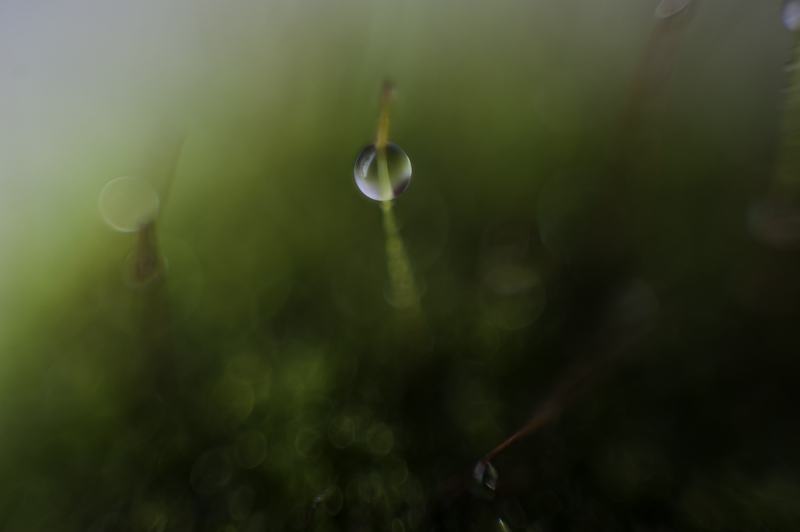 DSC_1640.jpg