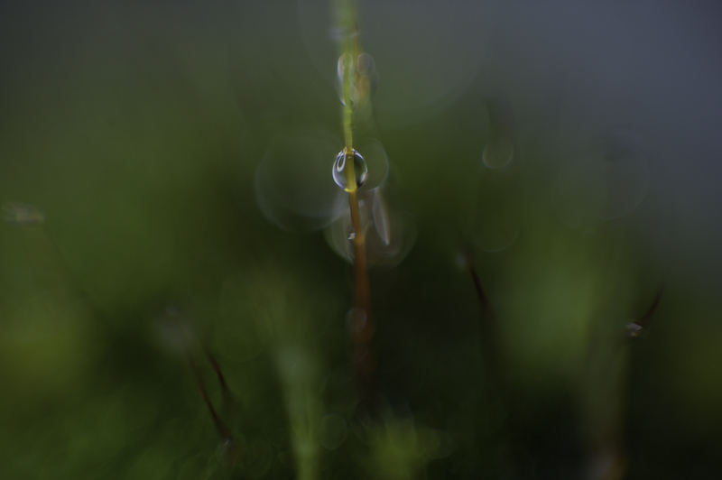 DSC_1730-Edit.jpg