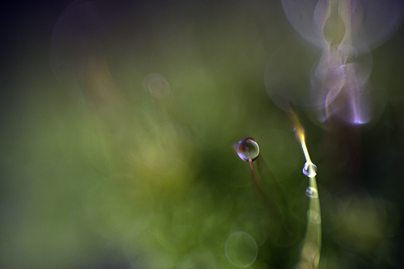 DSC_1770-Edit.jpg