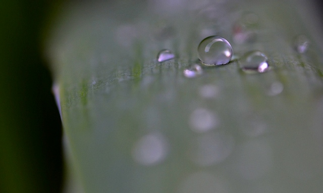 DSC_0364.JPG
