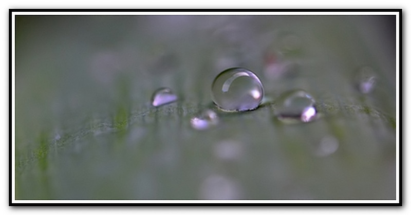 DSC_0364_filtered.jpg