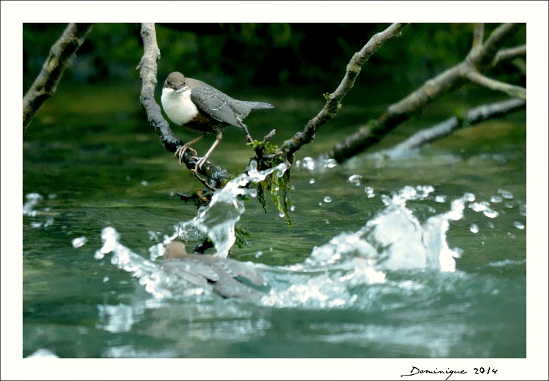 DSC_8495.JPG