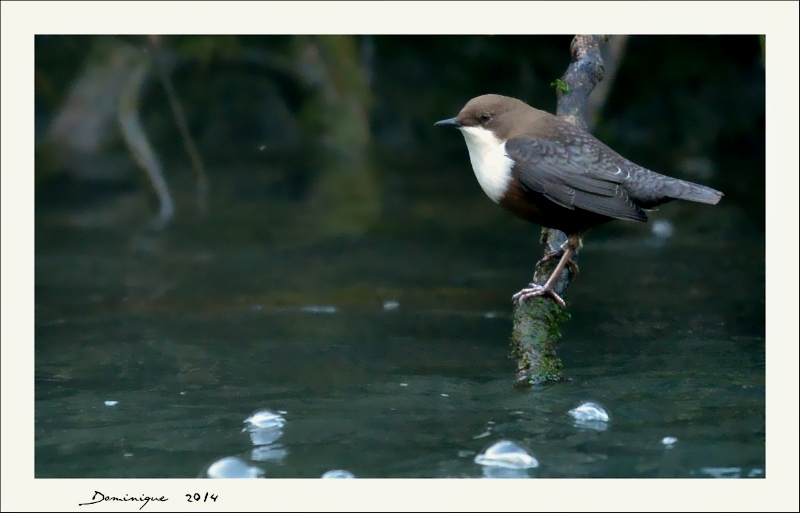DSC_8476.JPG