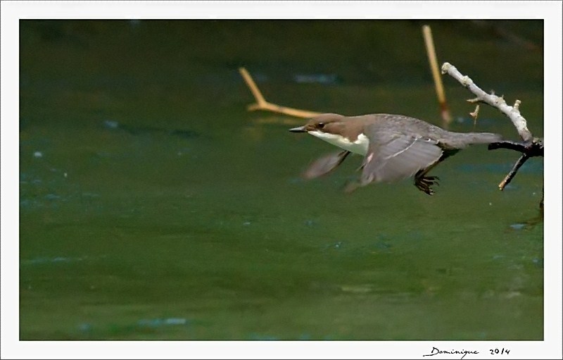 DSC_8648_filtered.jpg