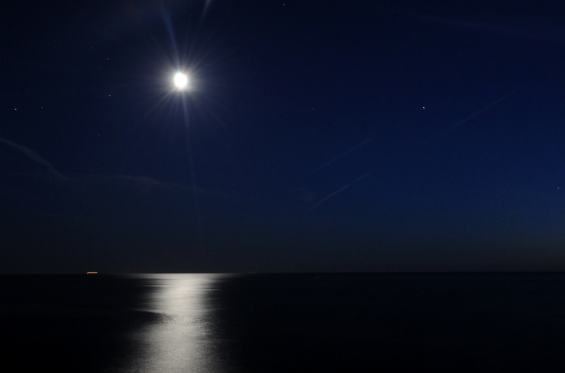 DSC_2540r.JPG