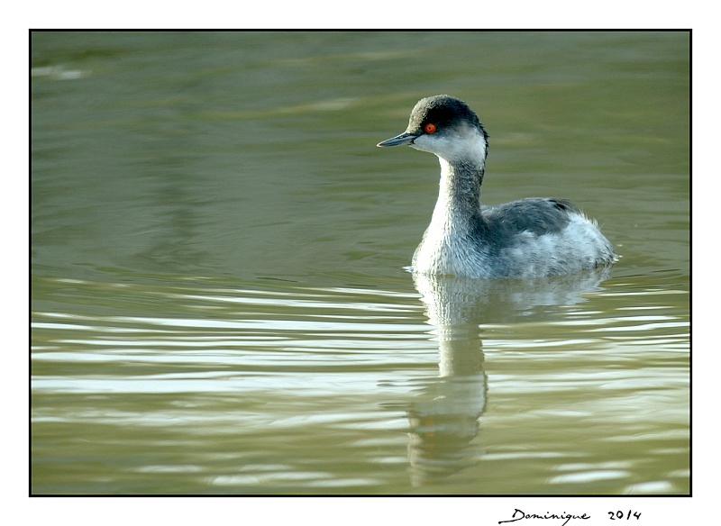 DSC_9166.jpg