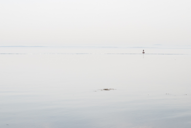 DSC_2650.jpg