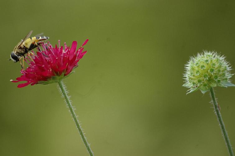 DSC_0151.JPG