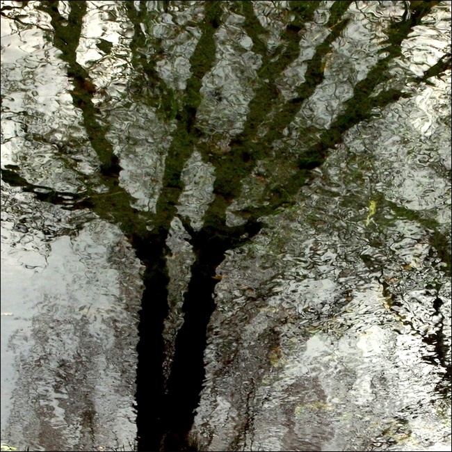 P2244404.bis.jpg