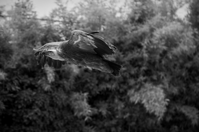 DSC_5402.jpg