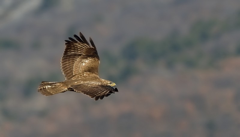 DSC_8942.jpg