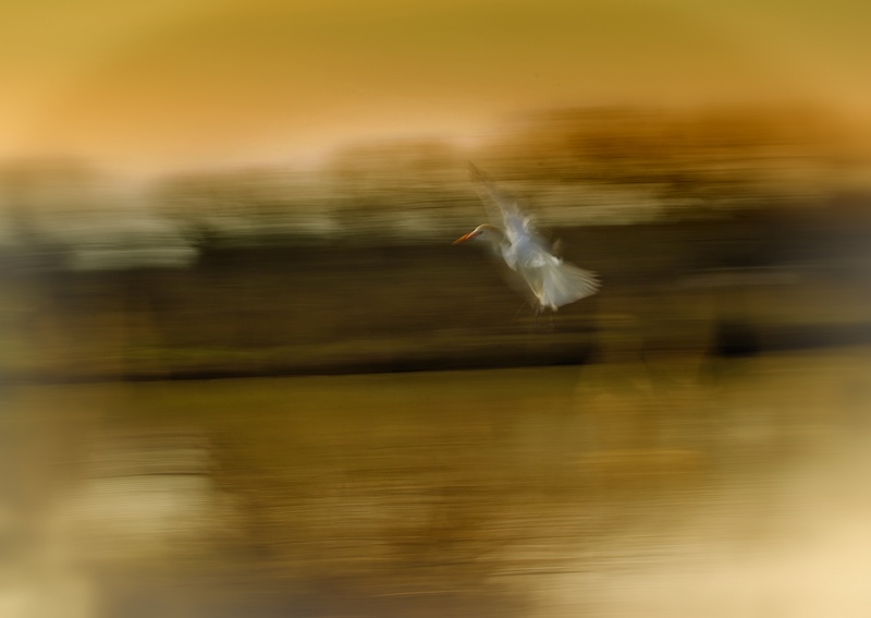 FA5D5485_1.jpg