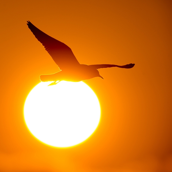 DSC_2311-BM.jpg