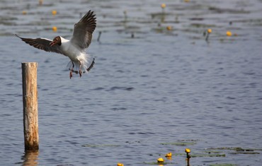 IMG_2780.JPG