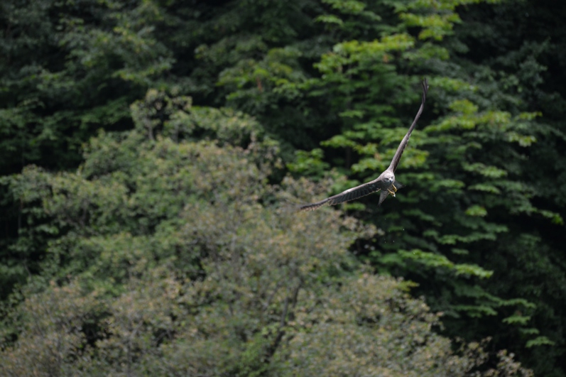 DSC_2764 3.jpg